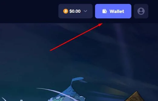 Duel Wallet -painike rekisteröinnin jälkeen
